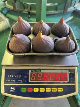 Fig Cosmic Country Of Origin South - Rapi Farming - South Africa