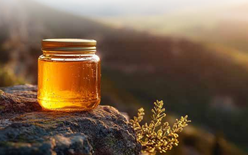 Honey Origin India Quality Usda Choice Minimum Order 20'fcl Packaging 300kg Drum Storage Condition Room - Adishakti Global Food LLP - India