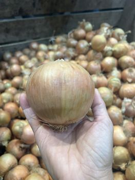 Onions – product photo, Mixed Fresh Vegetables products found from trusted suppliers, wholesalers, manufacturers & exporters Listing