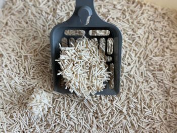 tofu cat litter from QINGDAO WOBIAN PET PRODUCT CO.,LTD tofu cat litter - QINGDAO WOBIAN PET PRODUCT CO.,LTD - China