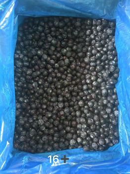 Wholesale Fresh Fruit IQF Frozen Blueberry Color Blue Type frozen Packaging 10 Grade A, Grade A Size Range 0.8-1.5cm Shelf Life 24 months - Shandong Guohai Imports and exports Co., ltd - China