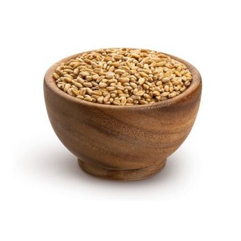 High Quality Organic Whole Wheat Grains Available For Sale At Low Price from CALIPSO POLSKA SP Z OO High Quality Organic Whole Wheat Grains Available For Sale At Low Price - CALIPSO POLSKA SP Z OO - Poland