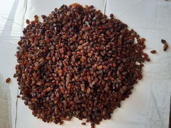 Sultana Raisins Quality AAA Packaging 12.5 kg - Selam foodstuff gida ltd - Turkey