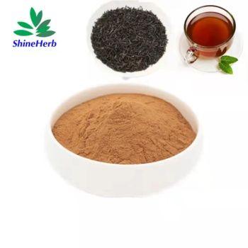 Yerba Mate Extract Private Label Tea Yerba Mate Organic Wholesale Yerba Mate Powder - Shaanxi Shineherb Biotech Co., Ltd. - China