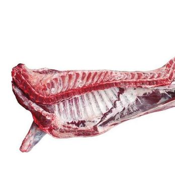 first class Halal Frozen Whole Beef Carcass Wholesale In Bulk - Exigentelaxia Unipessoal Lda - Portugal