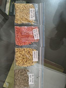 AGRO MAKI PLUS DOOEL STR NARODEN FRONT N - Freshdi