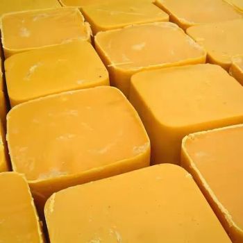 Factory Supply Pure Natural Bee Wax / Beeswax for Candles / Beeswax - Hebei Zhouhu Trade Co., Ltd. - China