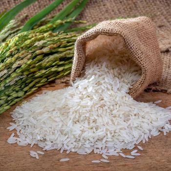 Quality Sella Basmati Rice Wholesale-Long Grain 5% Broken White Rice Hard Texture Parboiled Dried Rice Grade a - AGRONOVA - United States