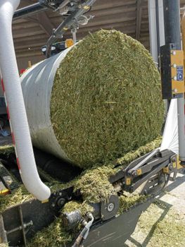 Barley, oat, ryegrass, corn silage Place of Origin Europe Packaging Roll wrapped bales - Oak & Willow Garden Ltd - United Kingdom
