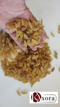 Golden Raisins Organic No Packaging Size Up to 125 g - Raxora - Iran