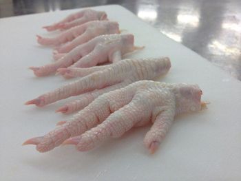 Frozen Chicken paws - PARA TODOS ENTERPRISES ALMA INC - United States