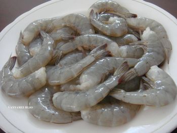 Frozen Vannamei Shrimp 51/70 Size 100% Natural Best Quality Vacuum Pack 10kg/Carton 6 Month Shelf - TRADECENTRIC LLC - United States