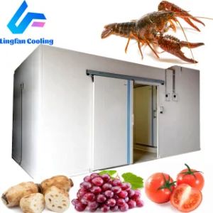 Cold Room Refrigeration Freezing Rooms, Mini Refrigeration System - SHANDONG LINGFAN TECHNOLOGY CO., LTD. - China