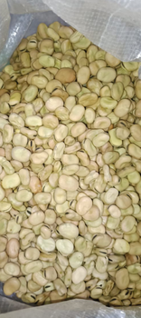 Broad beans - S.K.Y GROUP For import and export - Saudi Arabia
