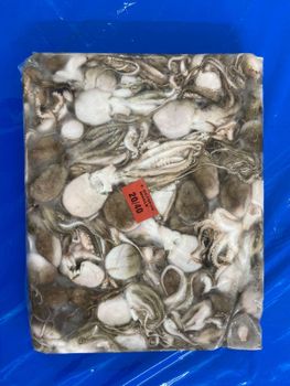 FROZEN OCTOPUS WHOLE Origin India Packaging 4 X 5 KGS Size 10/20, 20/40, 40/60, 60/up Grade 10/20, 20/40, 40/60, 60/UP - KUBER SEA FOODS - India