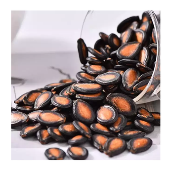 Quality Organic Water melon Bulk Watermelon Mini Watermelon Grade A Yield High Max. Moisture (%) 5 Germination Rate High -  CALIPSO POLSKA SP Z OO  - Poland