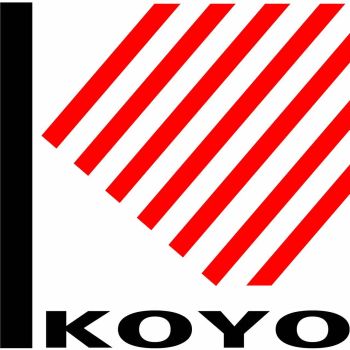 Product - Anhui Koyo packaging Machinery Co., Ltd. - China