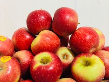Premium South African Apples Organic Yes Origin South Africa Degree of Processing Fresh Variety Cripps Red, Flash Gala, Fuji, Gala, Golden Delicious, Granny Smith, Joya, Pink Lady, Red Delicious, Royal Gala, TopRed - NINE FRUITS EXPORTS (PTY) LTD - South Africa