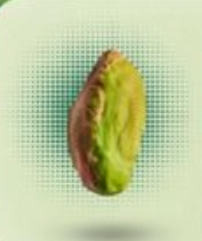 Fresh Green Peeled Pistachio Kernels Color Vibrant Green Place of Origin Iran Flavor Superior Taste Harvest Time Early July - DUVAANTE TRADING - United Arab Emirates