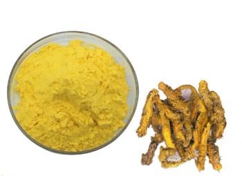 Plant Extract Herbal Berberine HCl Supplement Ingredient 97% 98% Berberine Hydrochloride Powder - Shaanxi KBC Biotech Co., Ltd. - China