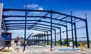 Prefabricated Large Span Steel Structure Buildings Prefab Metal Warehouse Workshop Office Building Factory Shed - Wuxi Biogreen Pharma Technology Co., Ltd. - China