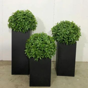 Promotional Cheap Plastic Arts-Crafts Home Decor Indoo Bonsai Plant Artificial for Garden Decoration - Shenzhen Shangpin Flower Art Design Co., Ltd. - China