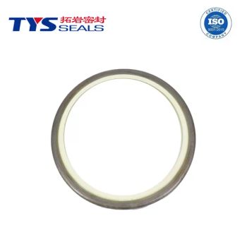 Premium Durable Oil Seals for Industrial Hydraulic Systems - Xiamen TYS Seals Technology Co., Ltd. - China
