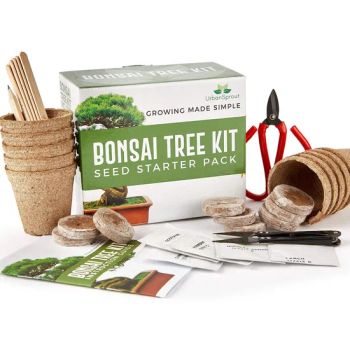 Urban Sprout Bonsai Tree Kit Grow Your Own Bonsai Trees From Seed Sustainable Eco Gardening Gift Set with 5 Bonzai Seed Varieties and Bonzie Starter Kit Tools - Plant Fun ( Xiamen) Co., Ltd. - China