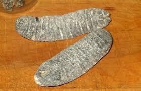 Dried Sea Cucumber – Premium Quality Seafood for Culinary & Medicinal Use - TRADE NEPAL LLC - United States