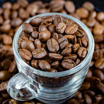 Hot Selling Arabica And Robusta Green Coffee Beans Wholesale coffee green beans with export coffee bean ARABIC/ROBUSTA GREEN - AGRONOVA - United States