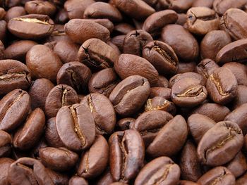 Organic Green Arabica & Robusta Coffee Beans Various Processing Types-Roasted Raw Washed Green Bulk Jute Bag Packaging - AGRONOVA - United States
