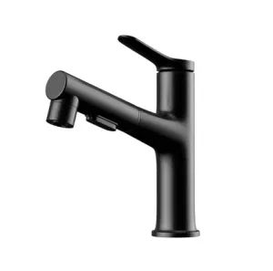 Chrome Plated Brass Single Hole Faucet Bathroom Accessories Basin Mixer - Chaozhou EGNS Sanitary Ware Co., Ltd. - China