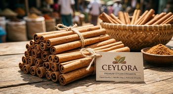 Cinnamon - Ceylora - Sri Lanka