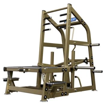 Fitness Gym Equipment Strength Plate Loaded Hip Belt Squat Machines Commercial Gym Equipment - Shandong Realleader Fitness Co., Ltd. - China