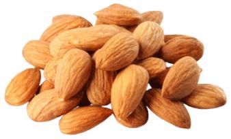 Raw almond kernel (sweet) - SULTAN AGRO IMPEKS - Uzbekistan