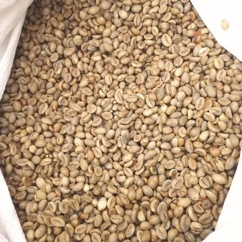 Indonesia Lampung Robusta Green Coffee Beans