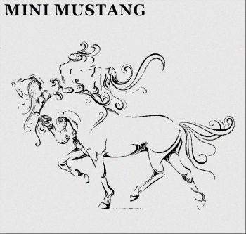 Product - Kunshan Mini Mustang Tech. Co., Ltd. - China