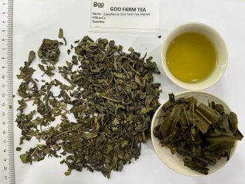 Vietnam Green Tea OP, OPA, Pekoe, BOM, Madina in Bulk - Goo Farm from GOO FARM TEA VIET NAM Vietnam Green Tea OP, OPA, Pekoe, BOM, Madina in Bulk - Goo Farm - GOO FARM TEA VIET NAM - Vietnam