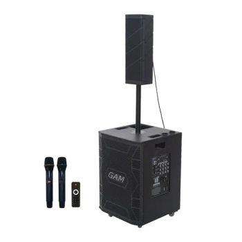 Hot Sale Powerful High Quality 15 Inch Line Array Speaker 3 Way Line Array Speaker System for Big Outdoor Show - Guangzhou Haoshidai Electric Appliance Co., Ltd. - China