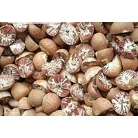 Areca Nuts Split / betel nuts split - Langit Nusa Internasional - Indonesia