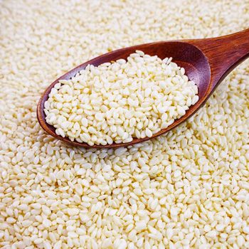 Sesame Seeds - Heilongjiang Heliang Agriculture Co.,Ltd - China