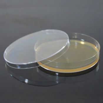 Medical Manufacturer Science Lab Consumables 60mm Culture Petri Dish - FUZHOU BORNI PHARMACEUTICAL SCI.& TECH.CO., LTD. - China