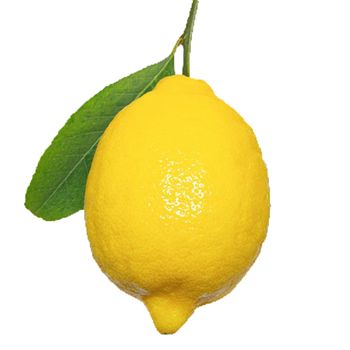 High Quality Fresh lime fresh Lemon all sizes cheap price from Vietnam fresh orange fresh grapes fresh pineapple - Zigui County Qugu Food Co., Ltd. - China