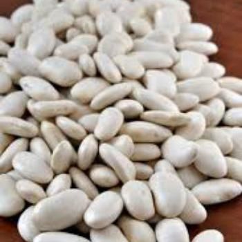 White Kidney Beans – product photo, Dried White Kidney Beans products found from trusted suppliers, wholesalers, manufacturers & exporters Listing
