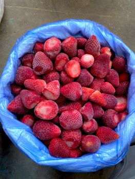 Egyptian IQF Frozen Strawberries Al Anwar for Export – Egypt – product photo, Frozen Whole Chicken products found from trusted suppliers, wholesalers, manufacturers & exporters Listing