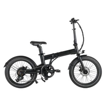 Hidden Battery 20" Electric City Bike 250W 36V Ebike Rear Drive Folding Electric Bicycle - Changzhou Merry Ebike Co., Ltd. - China