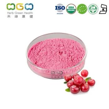 Organic Cranberry Juice Powder Vaccinium Oxycoccus Fruit Powder Water Extract Pink Red 2Y Shelf MOQ100 15D - Herb Green Health Biotech Co., Ltd. - China