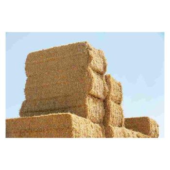 High Quality Rhodes Grass Hay Wholesale Export Grade Livestock Feed Supply - BMU TRADING GMBH - Germany