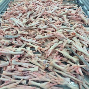 High Quality Organic Frozen Chicken Feet & Paws with Vitamins-Bulk Packaging - TRADECENTRIC LLC - United States