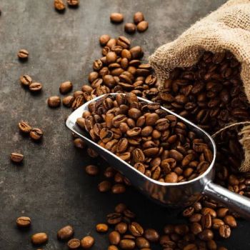 Coffee & Cocoa’s beans – product photo, Green Beans Coffee products found from trusted suppliers, wholesalers, manufacturers & exporters Listing